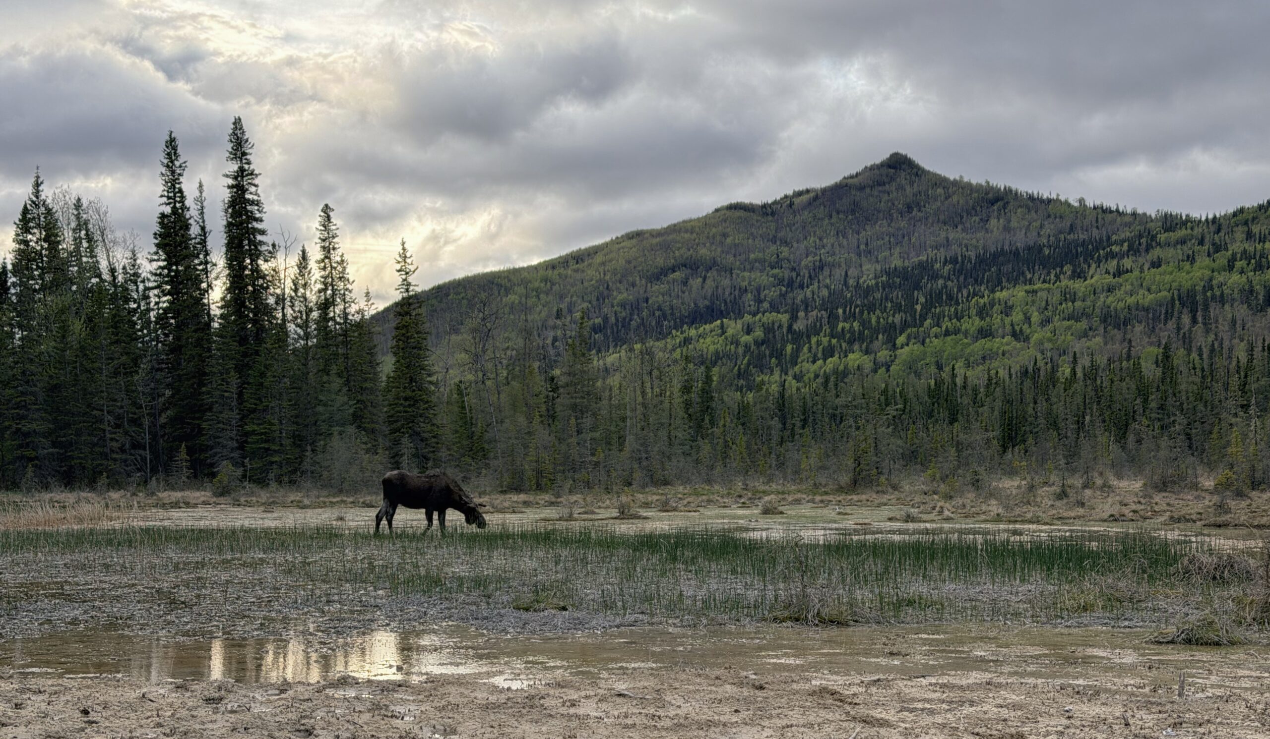 ALCAN Highway